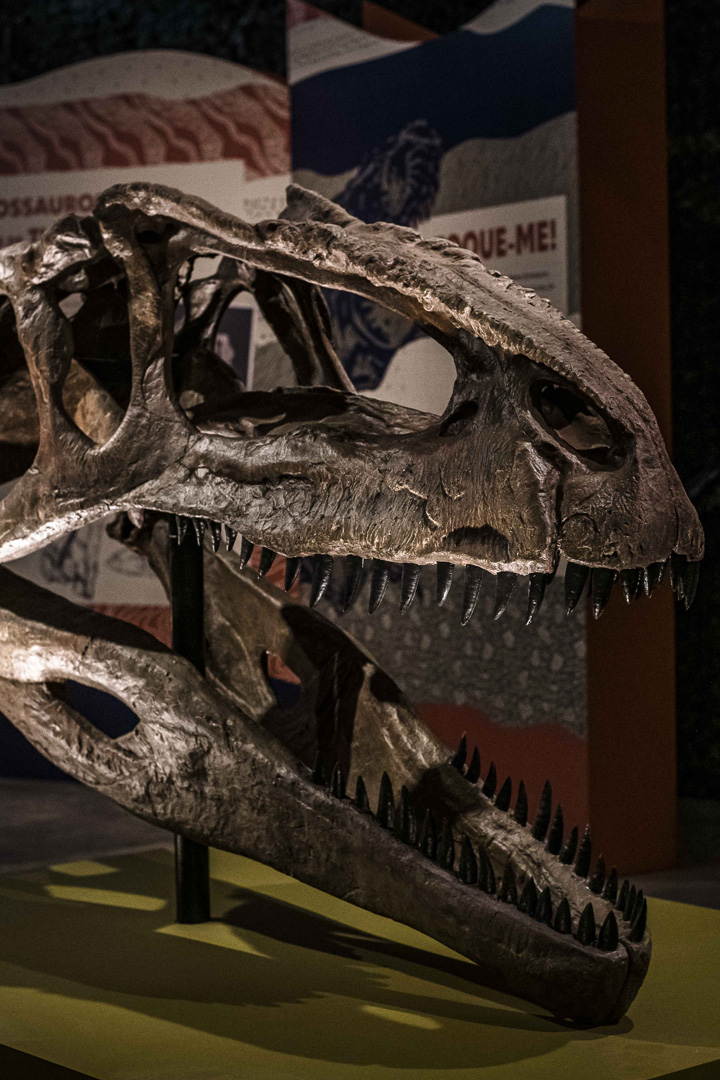 slides-espetaculos-atual-producoes-03